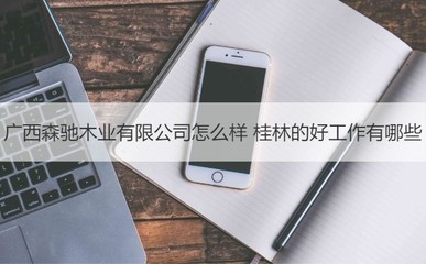廣西森馳木業(yè)評價與桂林優(yōu)質(zhì)工作機(jī)會及工藝美術(shù)品收藏品零售行業(yè)前景