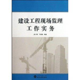 建設工程現場監理工作實務——水運工程監理